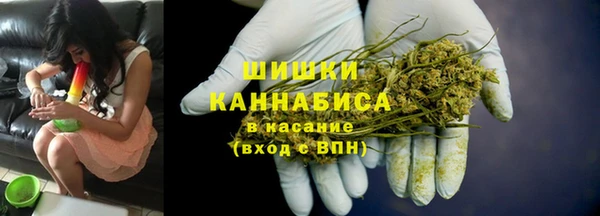 стафф Новый Уренгой