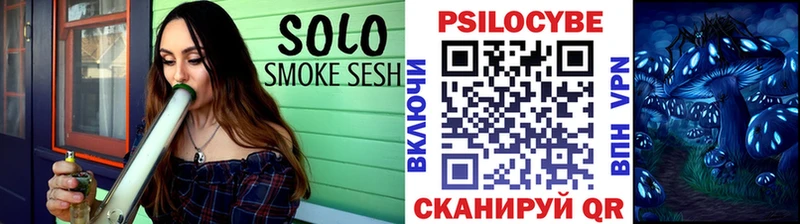 наркота  Зуевка  Псилоцибиновые грибы Psilocybe 